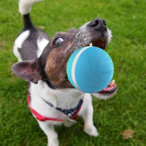 dog chewing Peppy Pet Ball