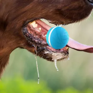 dog chewing Peppy Pet Ball