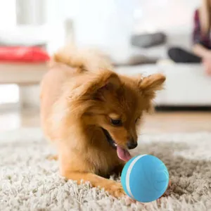 dog chewing Peppy Pet Ball on carpet