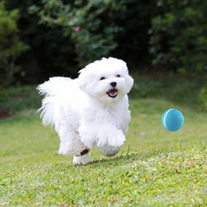 dog running after Peppy Pet Ball